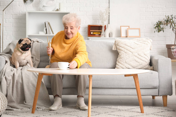 Mujer mayor con taza de té y pug dog tejiendo en el sofá en casa - Foto, Imagen