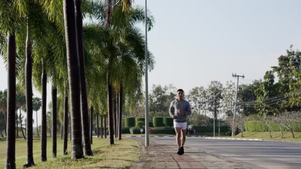 Laadukas 4K nuori aasialainen mies tekee aamulla venyttely liikunta auringonnousun aikana vihreässä puistossa. Ideoita terveelliseen elämäntapaan ja ulkoelämään. - Materiaali, video