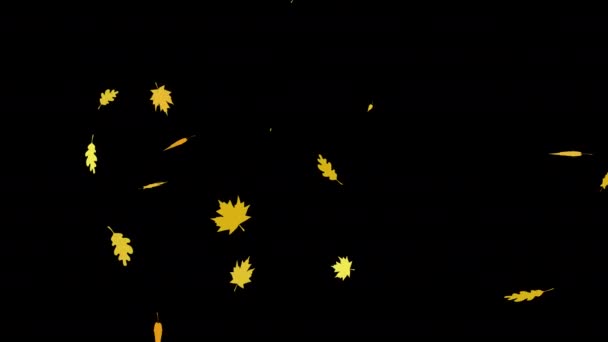秋のカラフルな感謝祭の葉はアルファチャンネルで落ち、透明背景. - 映像、動画