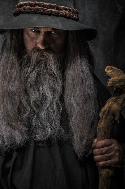 Old sorcerer with a wooden staff - Fotoğraf, Görsel