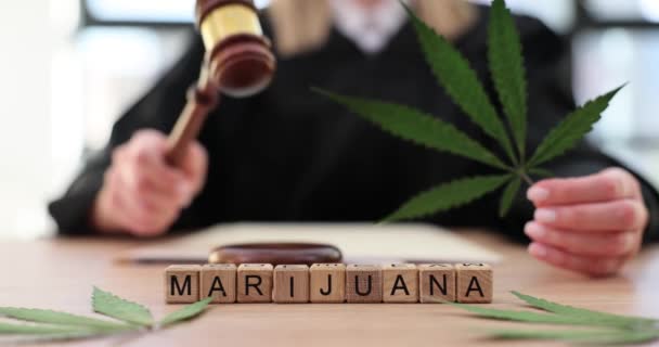 Cannabis plant en rechter hamer in de rechtszaal. Arrestatie van cannabisgebruik en teelt - Video