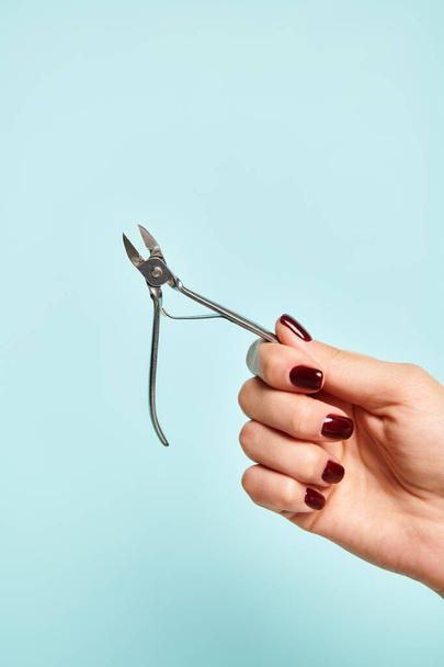 objectfoto van nagelknipper in de hand van onbekende jonge vrouw met nagellak op blauwe achtergrond - Foto, afbeelding