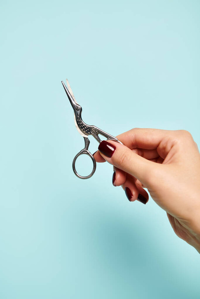 bird like scissors in hand of young unknown woman with nail polish on vibrant blue backdrop - Photo, Image