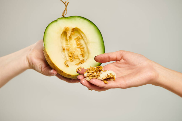 Unbekanntes weibliches Modell sammelt sorgfältig Samen aus köstlichem Cantaloupe auf grauem Hintergrund - Foto, Bild