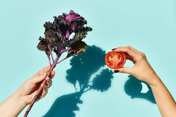 Objektfoto von Grünkohlblatt und kleiner Tomate in den Händen eines unbekannten weiblichen Modells auf blauem Hintergrund - Foto, Bild