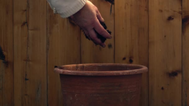 Tuinier het toevoegen van grond om pot te planten op houten achtergrond pot medium slow motion 4k schot selectieve focus - Video