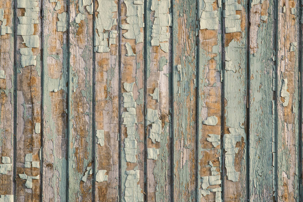 Wooden plank vintage bungalow wall with old weathered peeling paint closeup as grunge background - Photo, Image