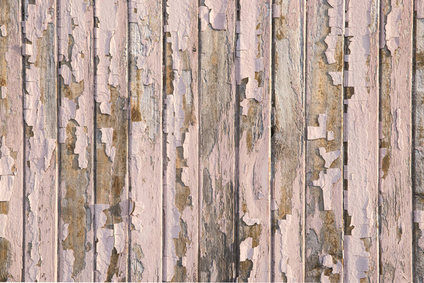 Wooden plank vintage bungalow wall with old weathered peeling paint closeup as grunge background - Photo, Image