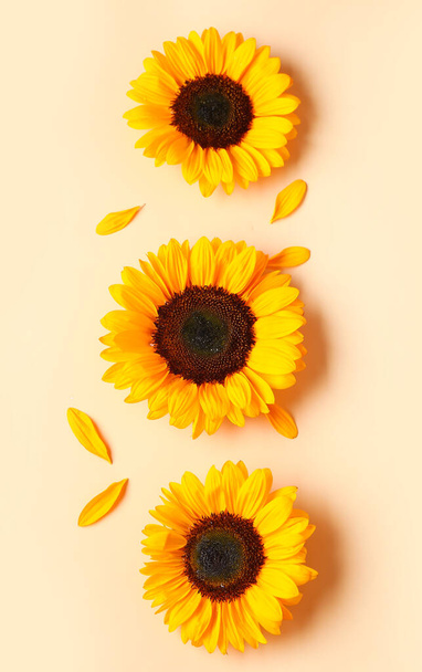 Kaunis auringonkukat ja terälehdet oranssi tausta - Valokuva, kuva