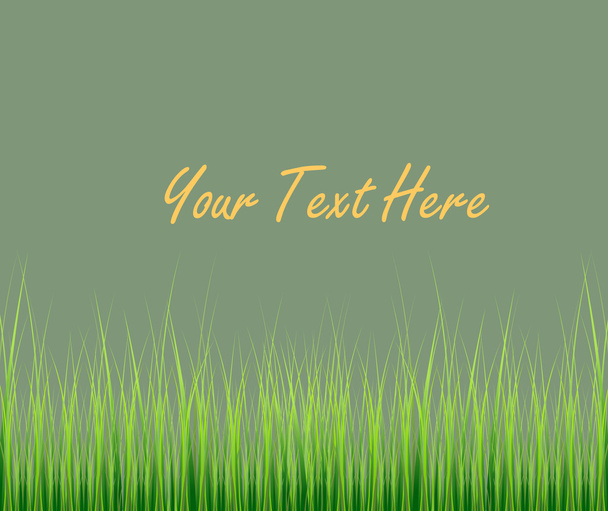 Grassline Background - Vetor, Imagem