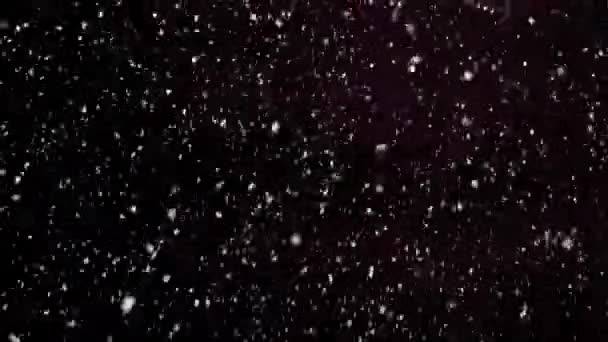Kar taneleri kışı örtüyor, yavaşça düşen kar efekti toz parçacıkları siyah zemin üzerinde kusursuz bir döngü oluşturuyor. - Video, Çekim