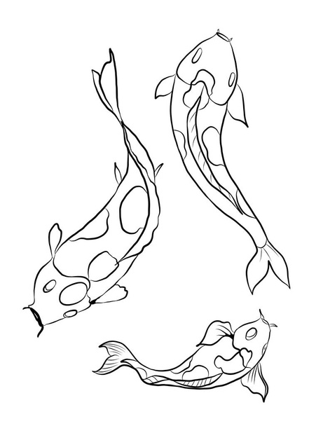 koi carp vector isolate for tattoo.Japanese carp drawing.Hand drawn line art of Koi carp. Vector isolated. Idea for tattoo and coloring books.Traditional Japanese culture element for printing on wall. - Vector, afbeelding