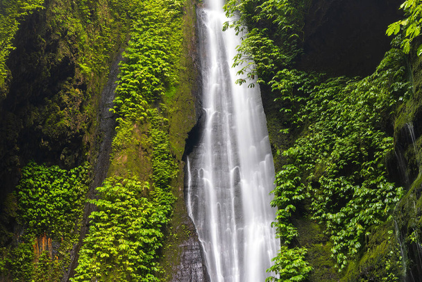 インドネシア,バリ島の関東近くの隠れた滝 - 写真・画像