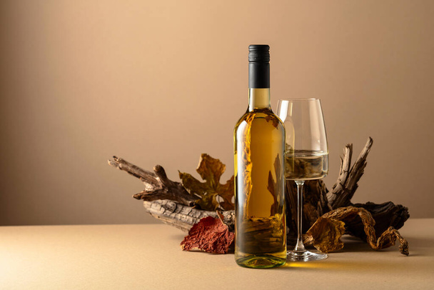 Fles en glas witte wijn op een beige achtergrond. Wijn en oude gedroogde snags. Kopieerruimte. - Foto, afbeelding