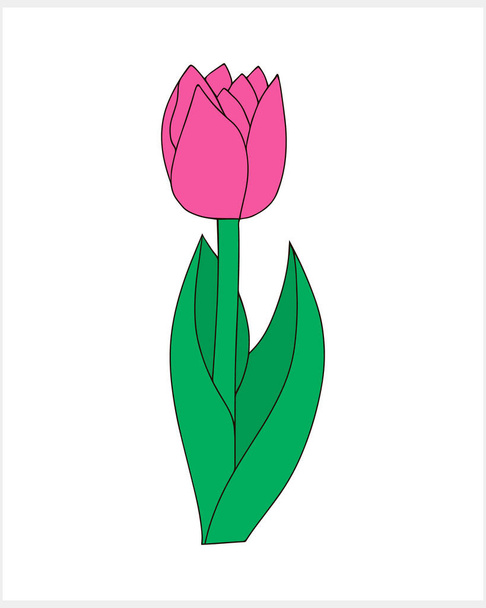 Plantilla tulipán aislado Doodle flor dibujado a mano línea de arte Vector stock ilustración EPS 10 - Vector, imagen