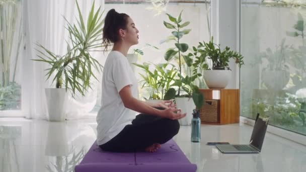 コンピュータの前に床に座っている間,蓮のポーズで目を閉じて瞑想する若い白人女性の側面ビュー - 映像、動画