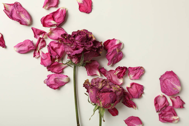 Szárított rózsa és rózsaszín szirmok fehér alapon, felülnézet - Fotó, kép