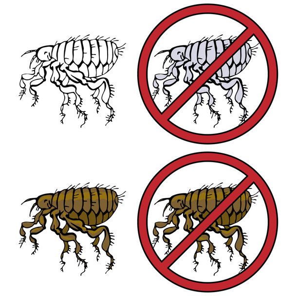 Sinal de proibição "sem pulgas
" - Vetor, Imagem
