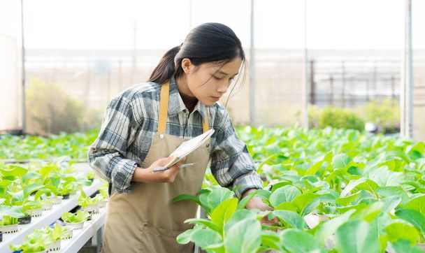 image of asian female farmer in her hydroponic vegetable garden - Φωτογραφία, εικόνα