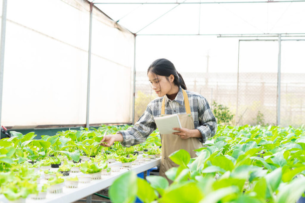 image of asian female farmer in her hydroponic vegetable garden - Foto, imagen