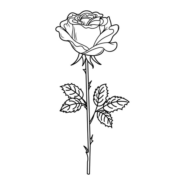 Handgezeichnete Vektorillustration einer Rosenknospe. Romantischer Kritzelsketch. Grafische Linienführung, Ausmalseite - Vektor, Bild