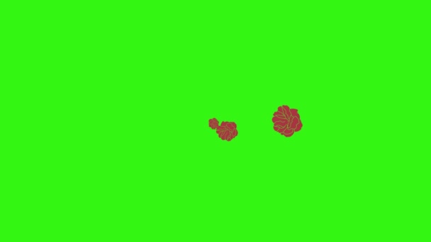 Kırmızı güllerin animasyonu, yeşil ekranda grafik tasarımı, geçiş elementi - Video, Çekim