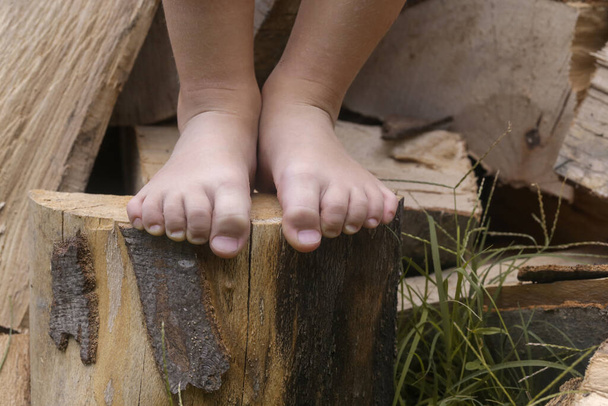 Pies de niño en tronco de madera, niña descalza en tronco de árbol, estilo de vida rural, concepto de conexión a tierra y conexión con la naturaleza - Foto, imagen