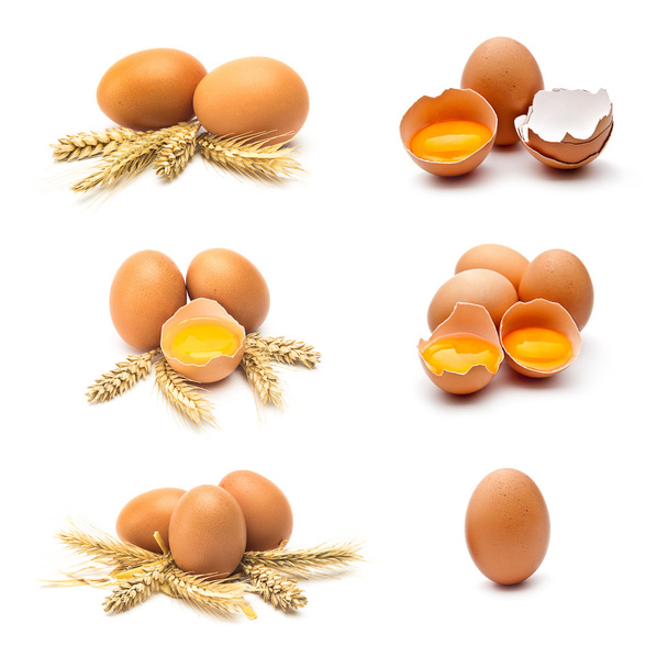  ovos de galinha conjunto isolado em branco
  - Foto, Imagem