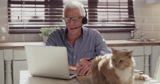 Laptop-, thuis- of professionele oude man op videogesprek, werkgesprek op afstand of virtueel consult in de keuken. Online vergadering, huisdier kat of senior persoon praten op headset mic, webinar of conferentie. - Video