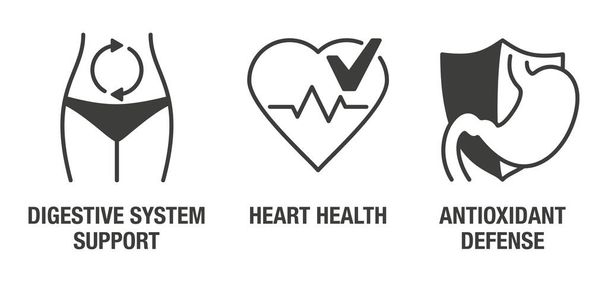Emésztőrendszer támogatás, szív egészség, antioxidáns védelem - lapos ikonok tápanyag-kiegészítők - Vektor, kép