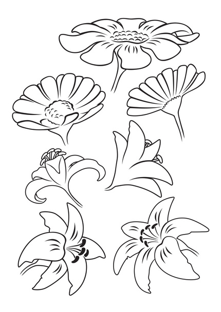 異なった輪郭を描かれた花のセット - ベクター画像