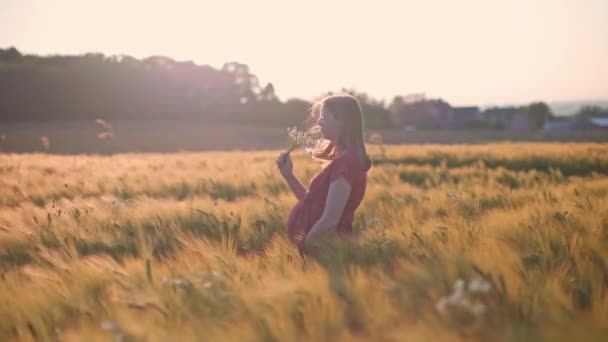 mujer embarazada disfruta de la calma al aire libre en la naturaleza al atardecer - Metraje, vídeo