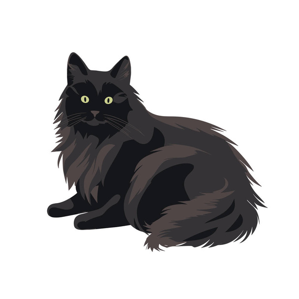 Czarny puszysty kot z zielonymi oczami siedzi z wdziękiem na tej ilustracji wektora. - Wektor, obraz