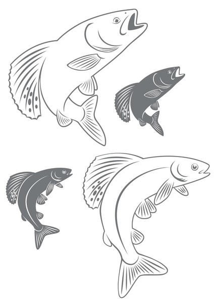 Outline and silhouette of fish grayling - Vector, Image