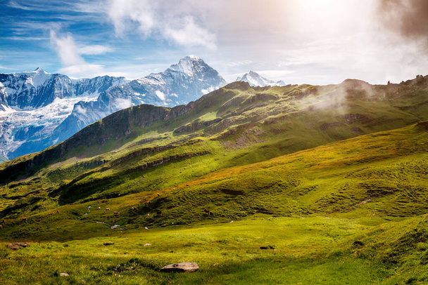 Great view of alpine hill. Picturesque and gorgeous scene. Popular tourist attraction. Location place Swiss alps, Grindelwald valley in the Bernese Oberland, Europe. Discover the world of beauty. - Photo, Image
