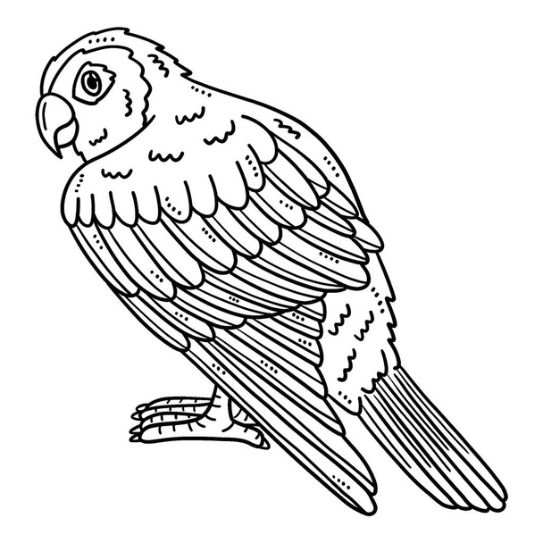 A cute and funny coloring page of a Conure Bird. Provides hours of coloring fun for children. To color, this page is very easy. Suitable for little kids and toddlers.  - Vector, Image