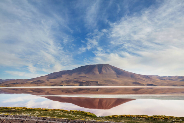 Il paesaggio surreale in Sud America. Colorata Laguna Colorada sull'altopiano Altiplano in Bolivia
. - Foto, immagini
