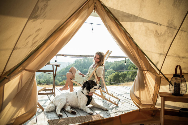 glamping of glamour camping met hond - Foto, afbeelding