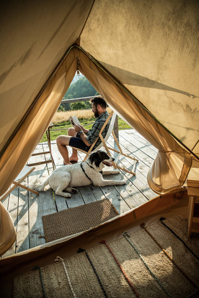 Bir köpekle kamp yapmak ya da cazibe - Fotoğraf, Görsel