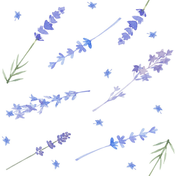 Watercolor pattern with lavender - Vecteur, image