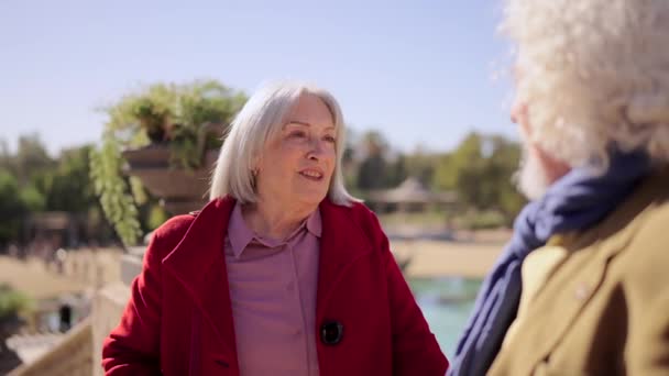 Wideo spokojnej pary seniorów rozmawiających pod słońcem w miejskim parku - Materiał filmowy, wideo