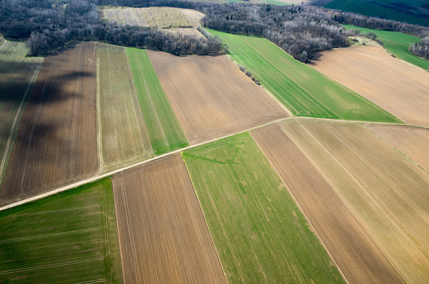 вид с воздуха на поле - Фото, изображение