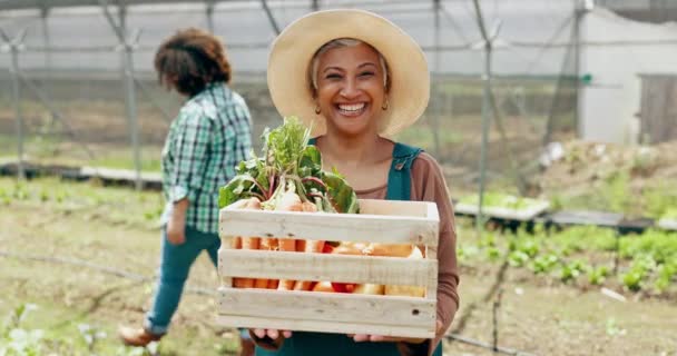 Γεωργία, λαχανικά και ώριμη γυναίκα με κουτί στο θερμοκήπιο για τη γεωργία ή την αλυσίδα εφοδιασμού. Χαμόγελο, παραγωγή και πορτρέτο των γυναικών αγροτών με καφάσι για την κηπουρική βιώσιμων τροφίμων στο περιβάλλον - Πλάνα, βίντεο