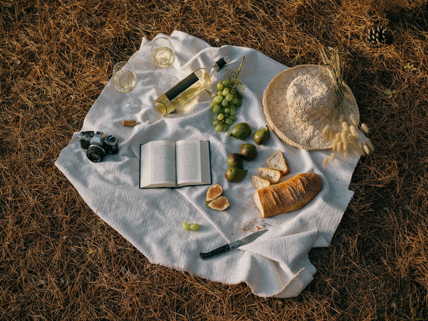 Horizontal directo desde arriba de un picnic mediterráneo para dos en un bosque de pinos sardos. Vino, pan y fruta, sombrero, libro y cámara vintage. - Foto, imagen