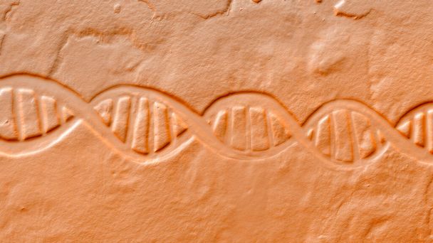 3D-kuva DNA-kaksoiskierteestä, joka muistuttaa vanhoja seinäkaiverruksia ja yhdistää nykyaikaisen tieteellisen kuvauksen vintage-estetiikkaan. - Valokuva, kuva