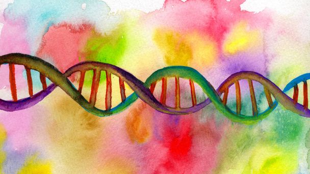 Χειροποίητη ακουαρέλα που απεικονίζει μια ζωντανή διπλή έλικα DNA, αναδεικνύοντας την περίπλοκη δομή με ζωηρά χρώματα και καλλιτεχνικό ταλέντο. - Φωτογραφία, εικόνα
