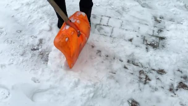 Πρόσωπο φτυαρίζει χιόνι με ένα πορτοκαλί φτυάρι στην αυλή κατά τη διάρκεια της χιονιού. Χειροκίνητη αφαίρεση χιονιού ή καθάρισμα. Έννοια χειμερινής συντήρησης, - Πλάνα, βίντεο