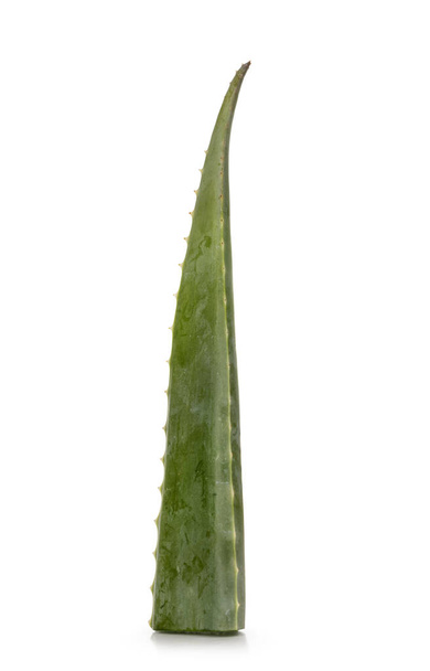 Leaf from Aloe Vera plant, stacked on top of each other. Isolated on a white background. - Photo, Image