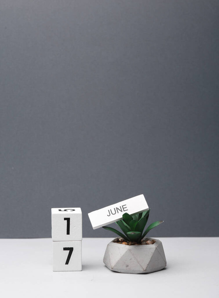 Календарь белого блока с датой 17 июня и декоративным растением в горшке на белом-сером фоне. Deadline, планирование, бизнес-концепция - Фото, изображение