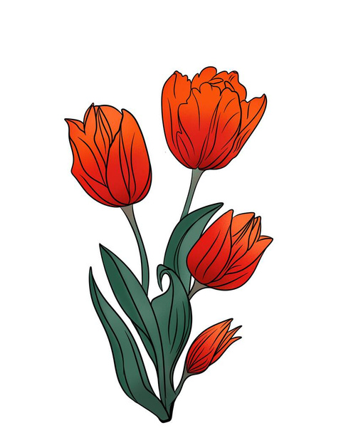 Ilustración de acuarela dibujado a mano conjunto de coloridos tulipanes rojos ramo aislado sobre fondo blanco. Flores de primavera. Tarjeta para el Día de las Madres, 8 de marzo - Foto, imagen